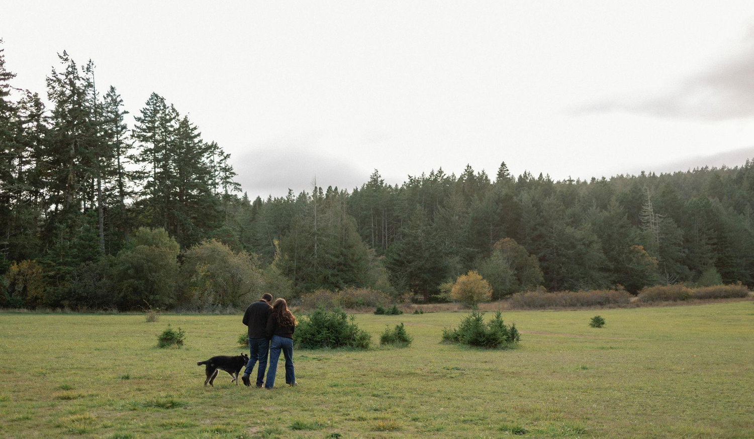 Footer image