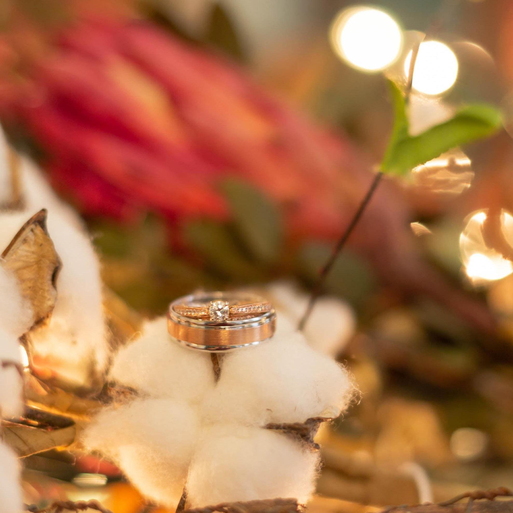 November 10, 2018
805 Days
Kylene Ann Photography (a.k.a. the best photographers ever)