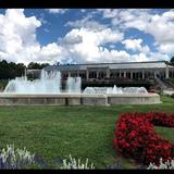 Garfield Park Conservatory & Sunken Gardens