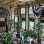 George Eastman Museum