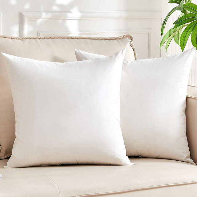 KUSNUG Organic Feather Down Throw Pillow Inserts (20x20 Inch, Set of 2) - 100% Cotton Shell, Filling of Feathers, Square Decorative Pillow Form Core for Couch, Sofa, and Bed