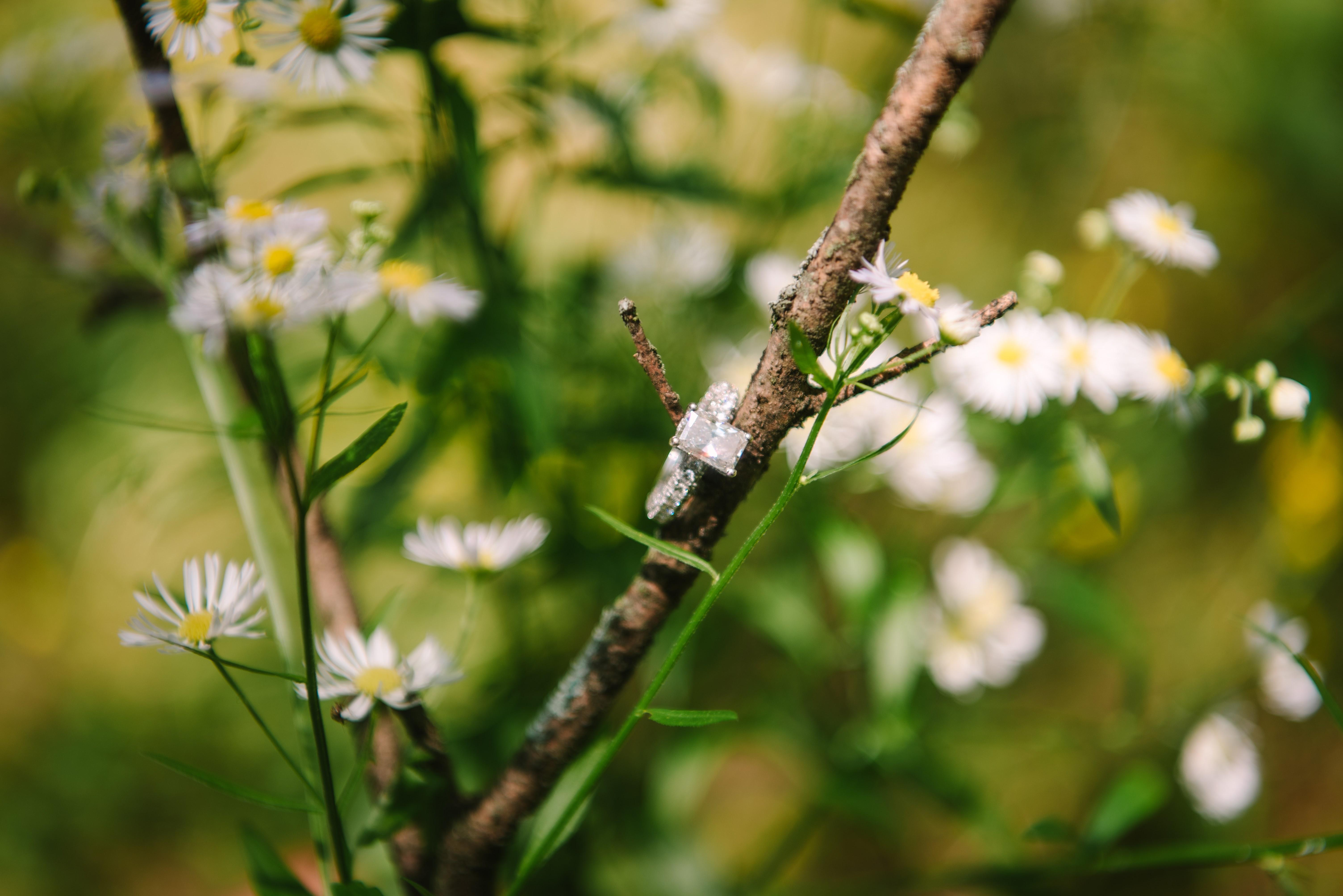 The Wedding Website of Brooke Temples and Logan Crawford