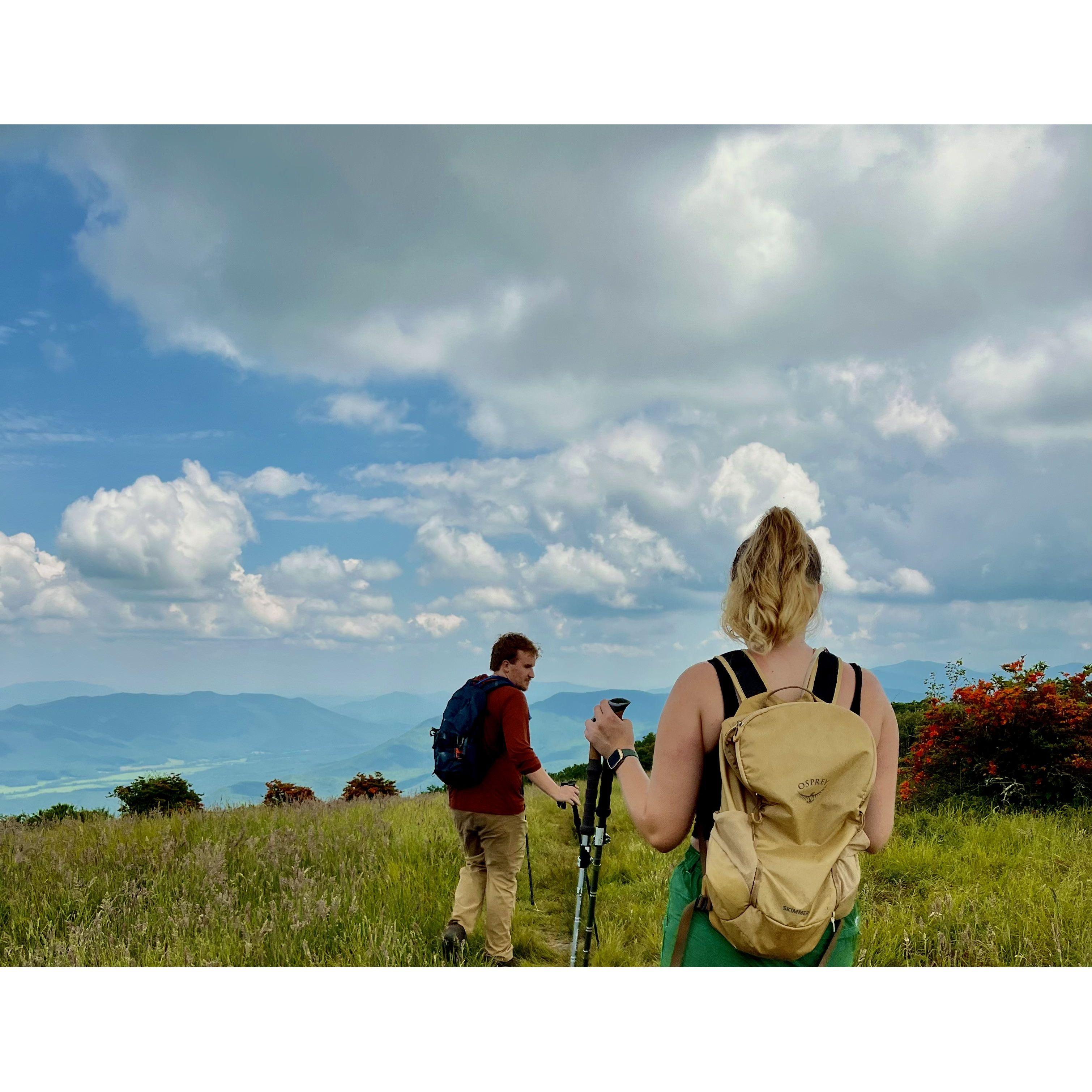 Another hike to Gregory Bald