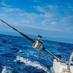 Fishing Charter