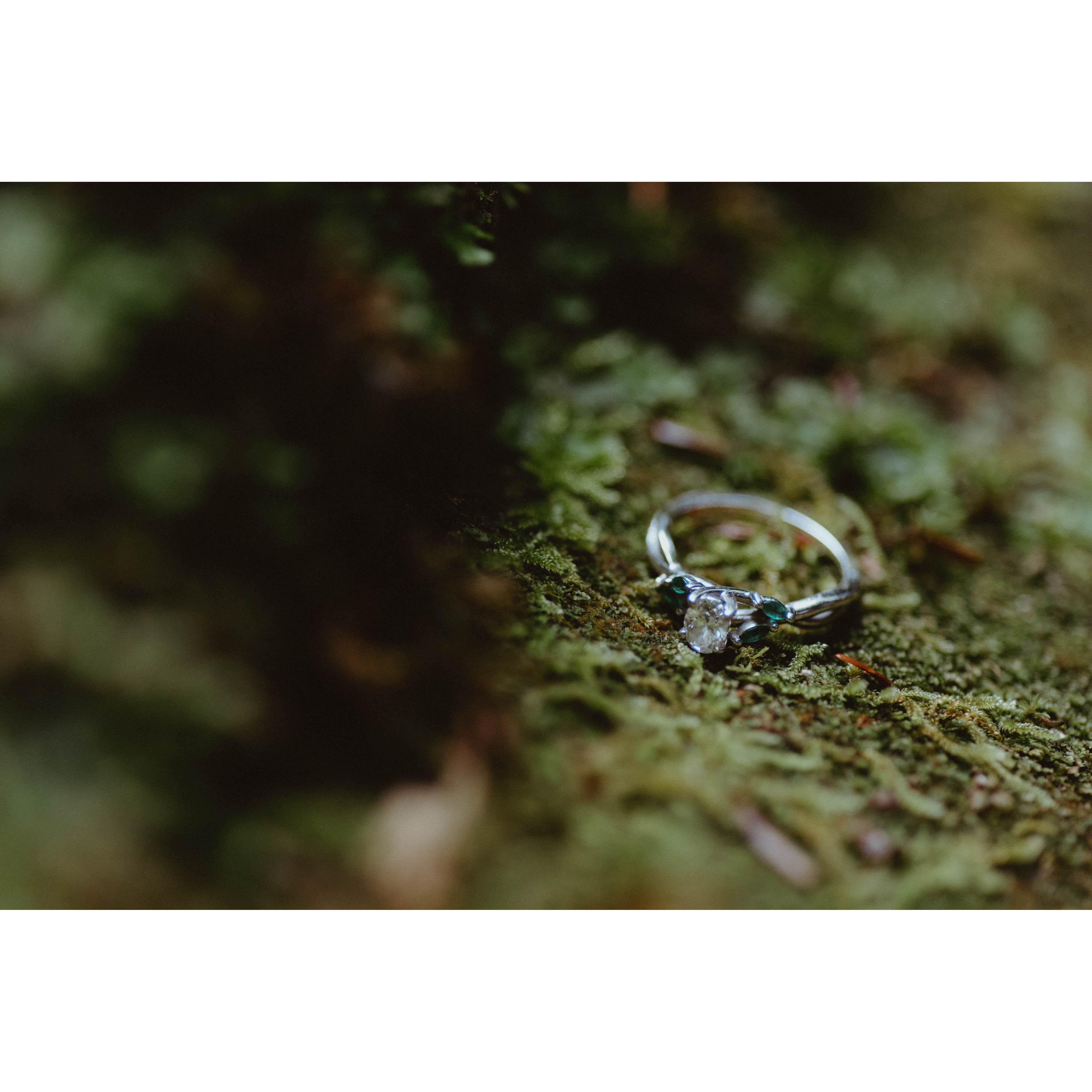 Our engagement photos in Turkey Run State Park were absolutely beautiful thanks to Aliscia Marie Photogrpahy!