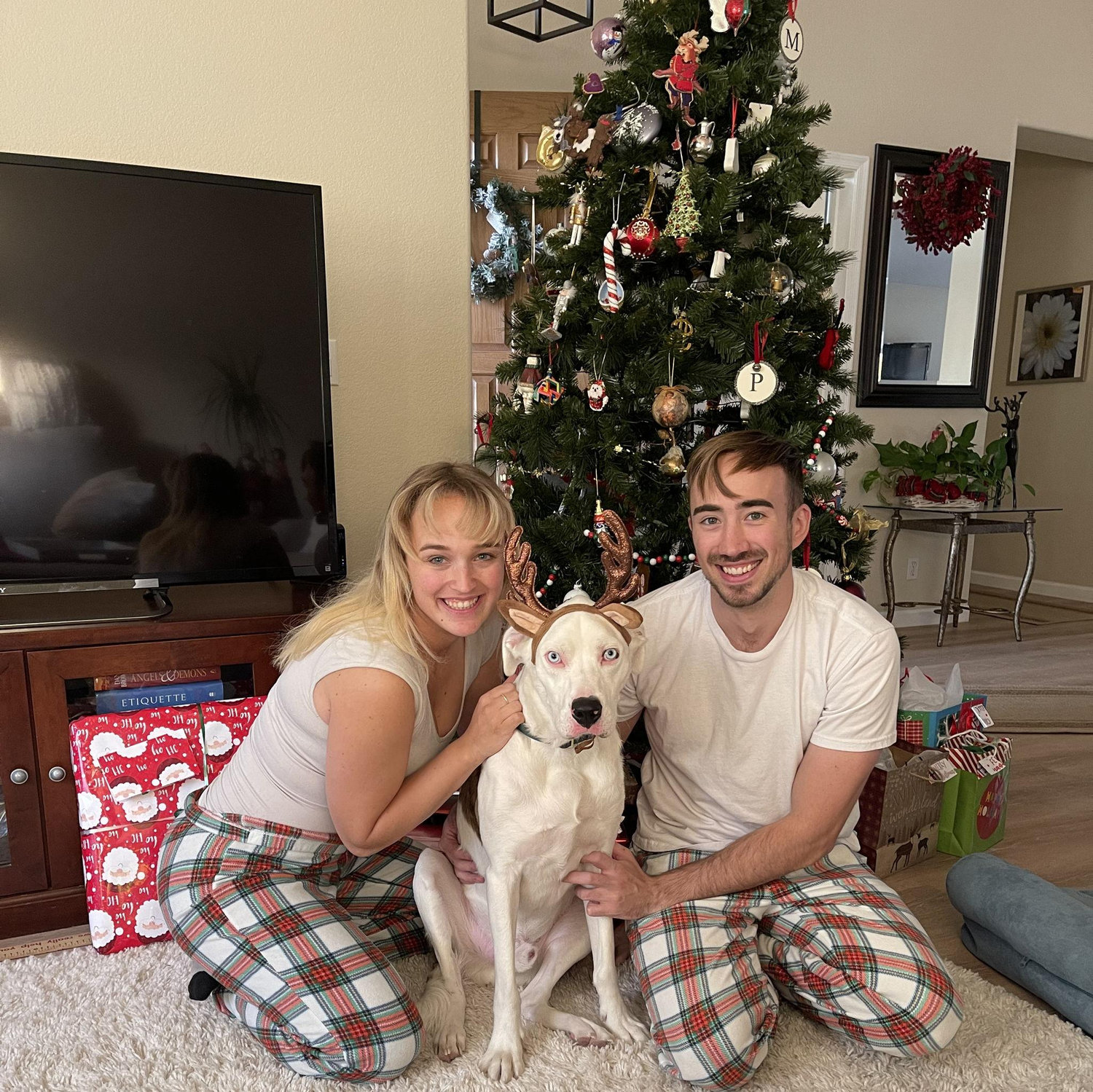 Arizona Christmas 2022