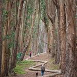 Presidio of San Francisco