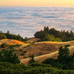 Mount Tamalpais State Park