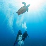 Diving with Scuba Du (and Gary and Jen)