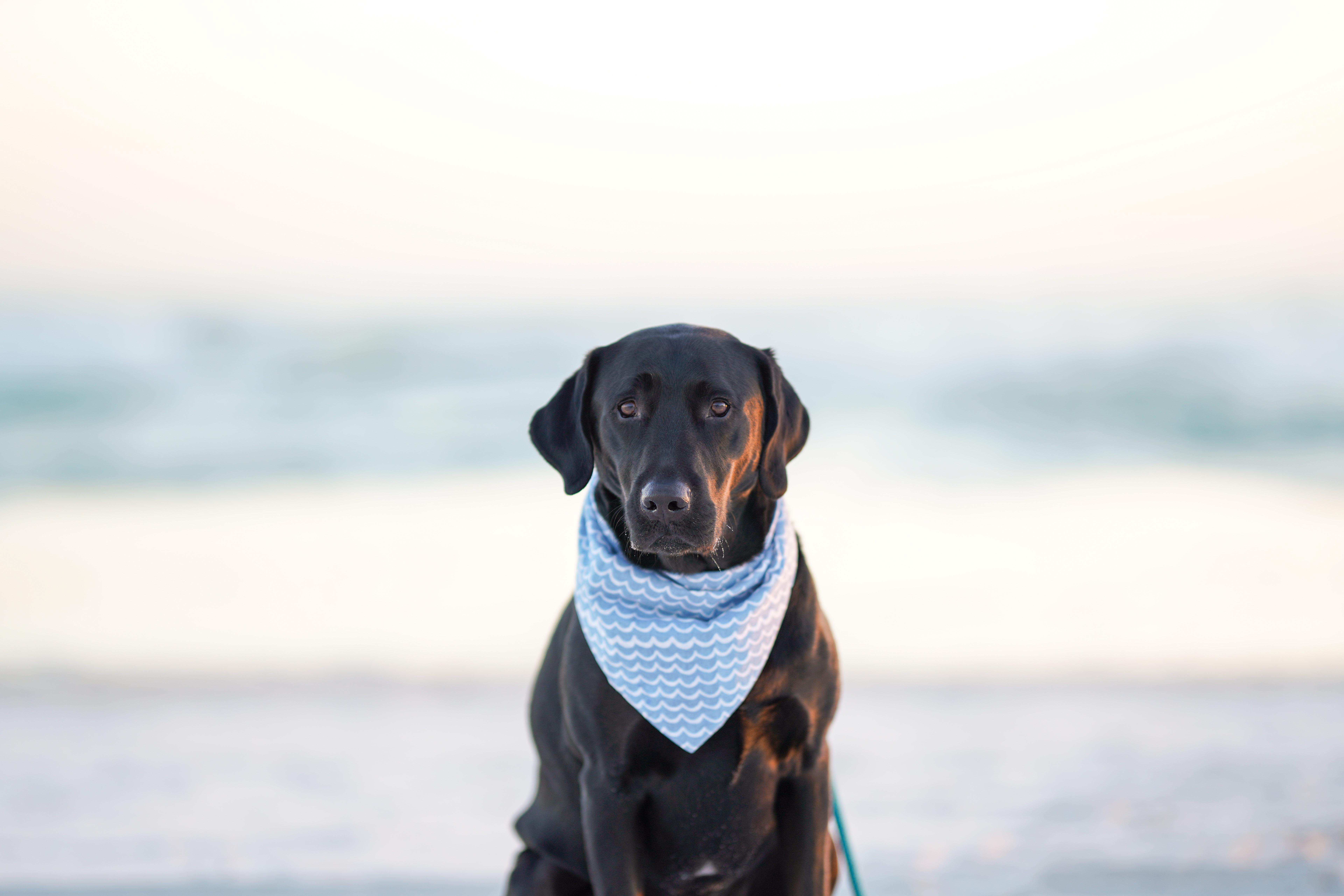 The Wedding Website of Jessica Vella and Brian Fairweather