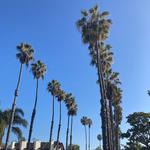 North Park