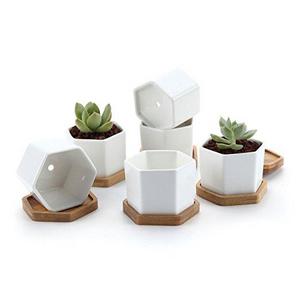 Hexagon Ceramic Succulent Pot With Bamboo Tray - Six White