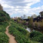 Buttermilk Trail