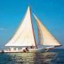 Boat Cruises