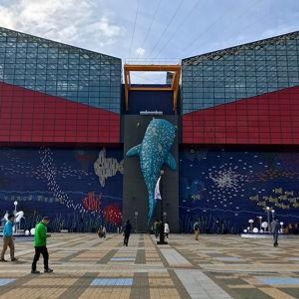 Osaka Aquarium Tickets