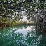 Sian Ka'an Reserve
