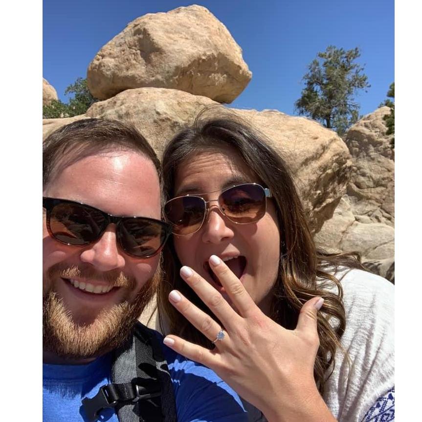 Joshua Tree Proposal