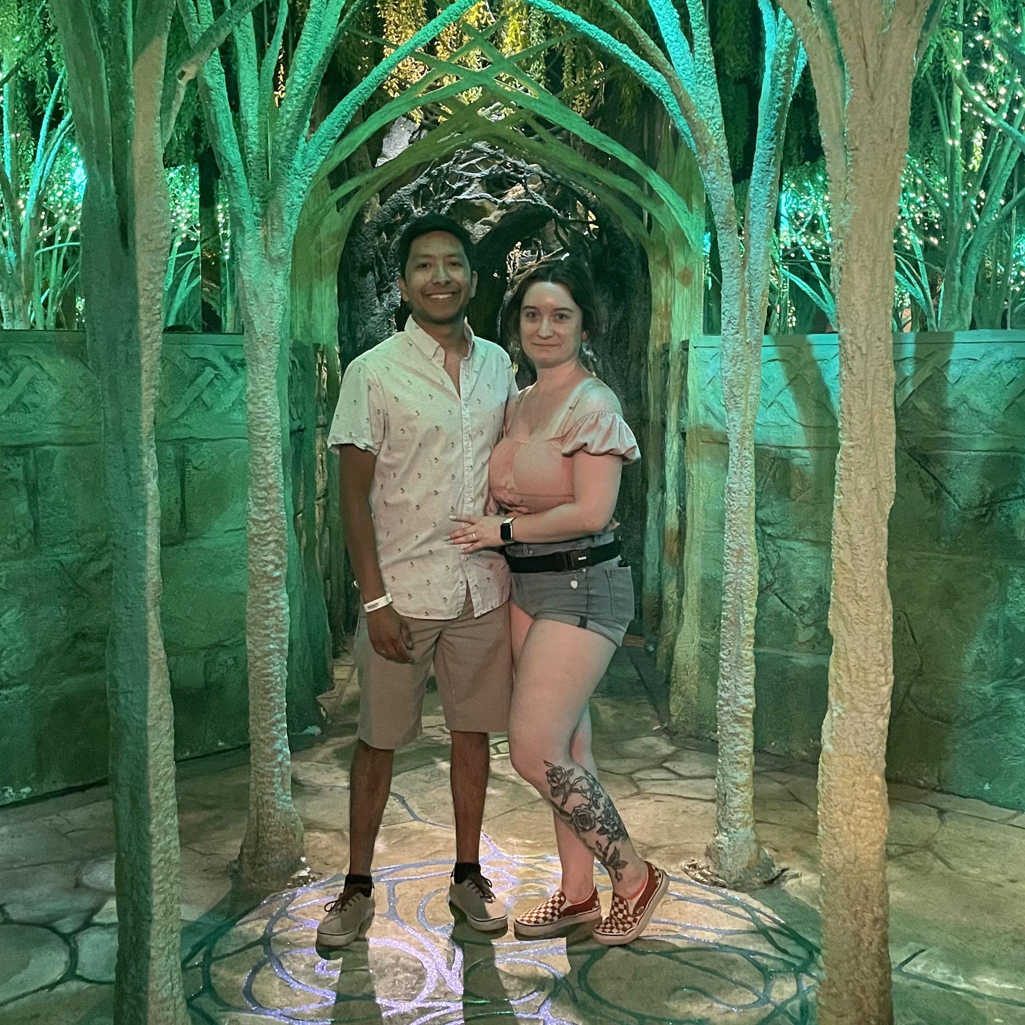 The Dells, another room in Wizard quest.