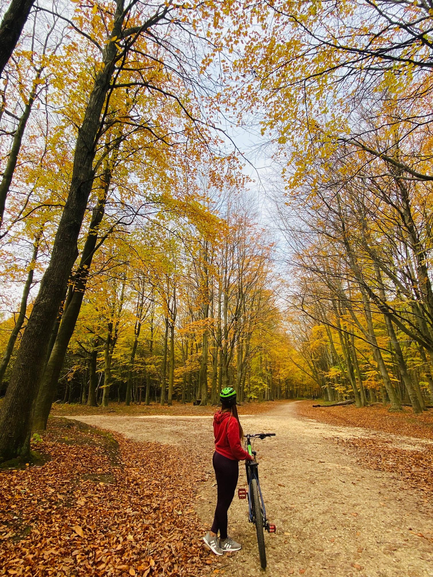 The Wedding Website of Chidi Obiechefu and Glory Odion