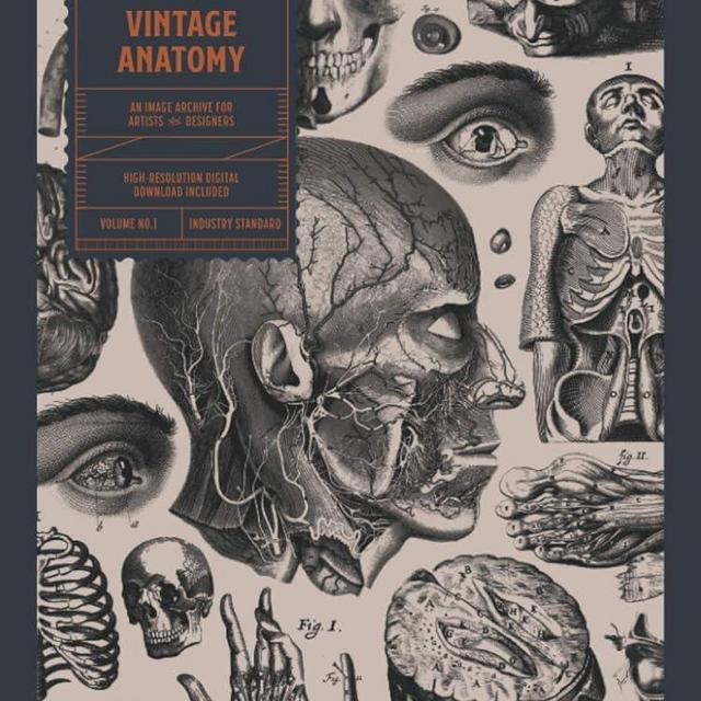Vintage Anatomy: An Image Archive for Artists and Designers
