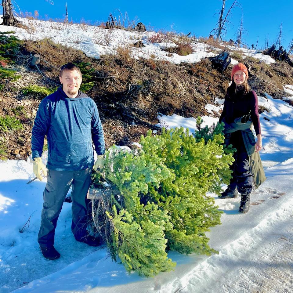 Our first Christmas tree!