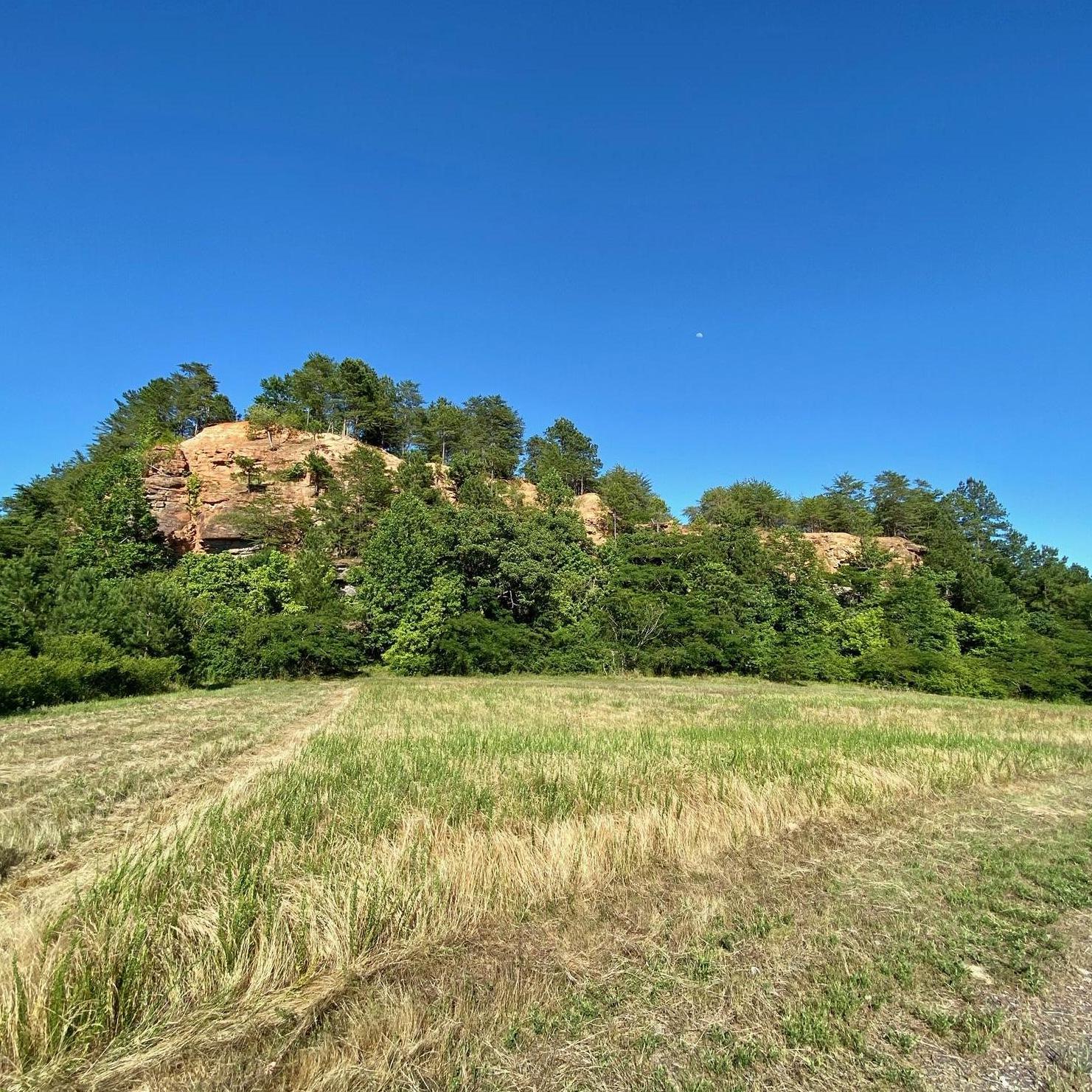 Say hello to Trinoskey Bluff overlooking the property