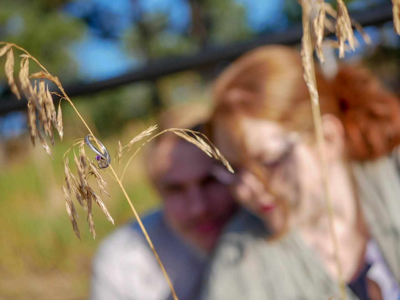 The Wedding Website of Emily Carbiener and Benjamin Brown