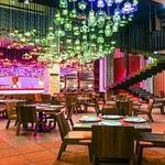 CANTINA LOS FAROLES