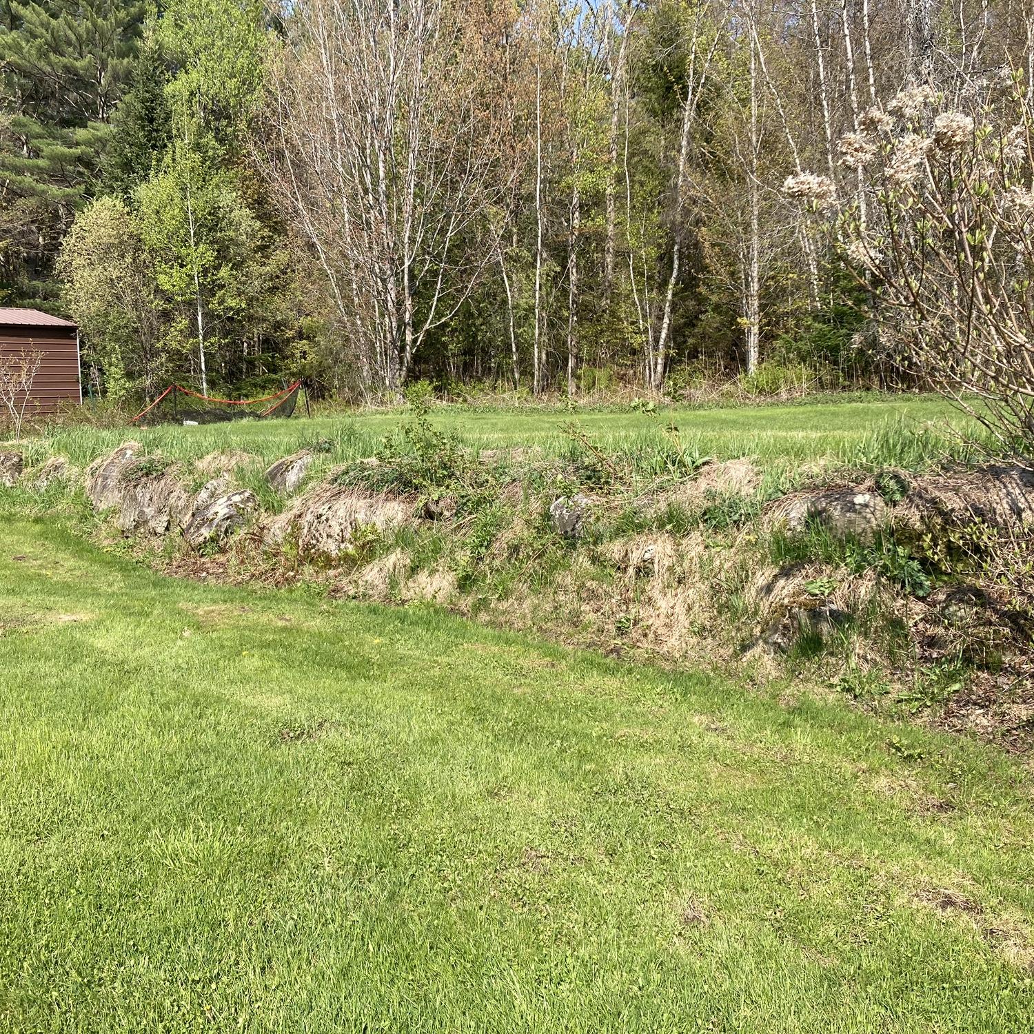 The house came with this amazing wall which we’ve worked super hard to expose and maintain.  The wall will be a lifelong project for sure!