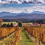 Monticello Wine Trail