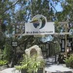 Wild Bird Sanctuary - Florida Keys Wild Bird Center