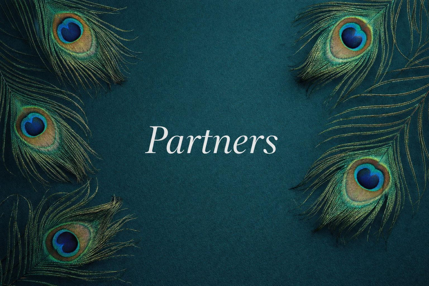 The Wedding Website of Justin Rowling and Erin Meadows