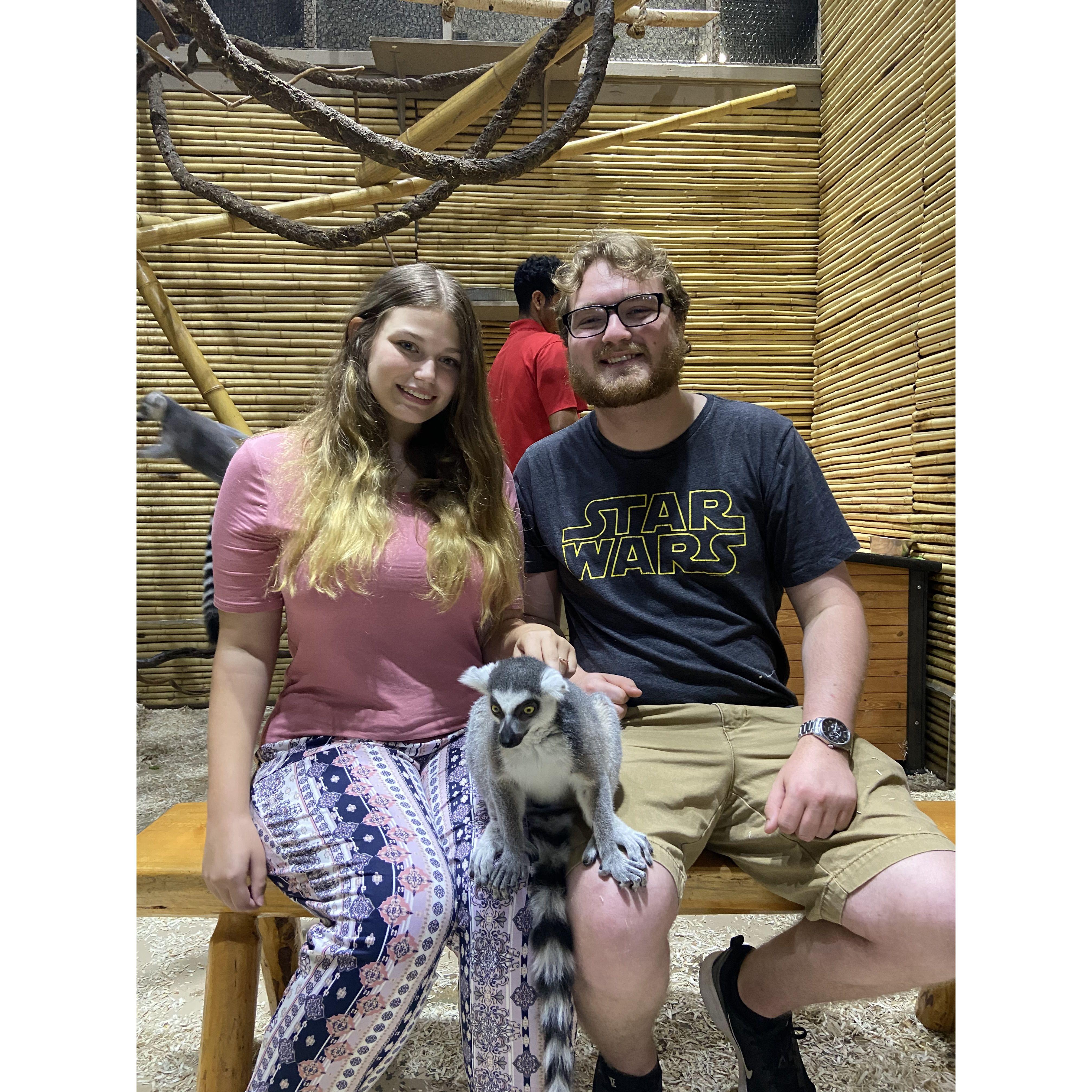 Our first animal adventure May 2021.