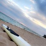 Surfing Lessons