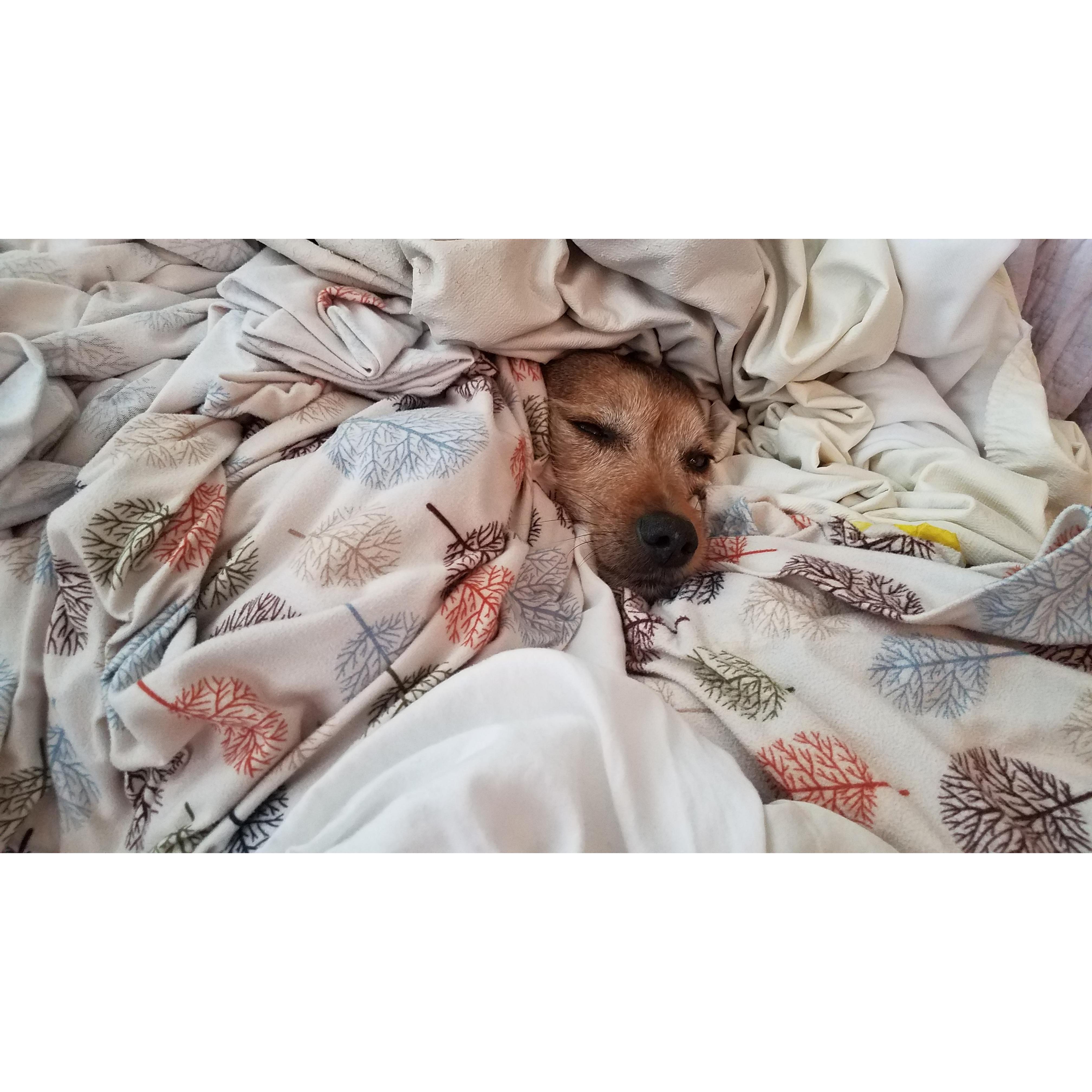 Its all about the warm laundry