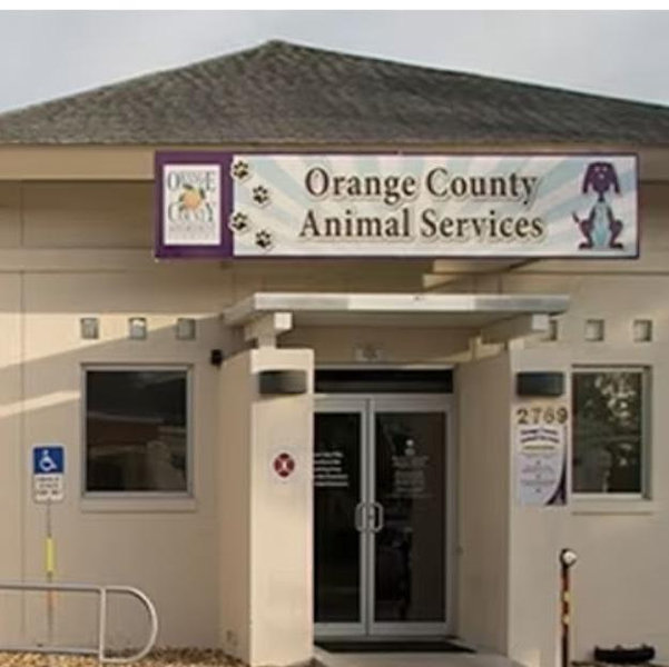 Orange County Animal Shelter