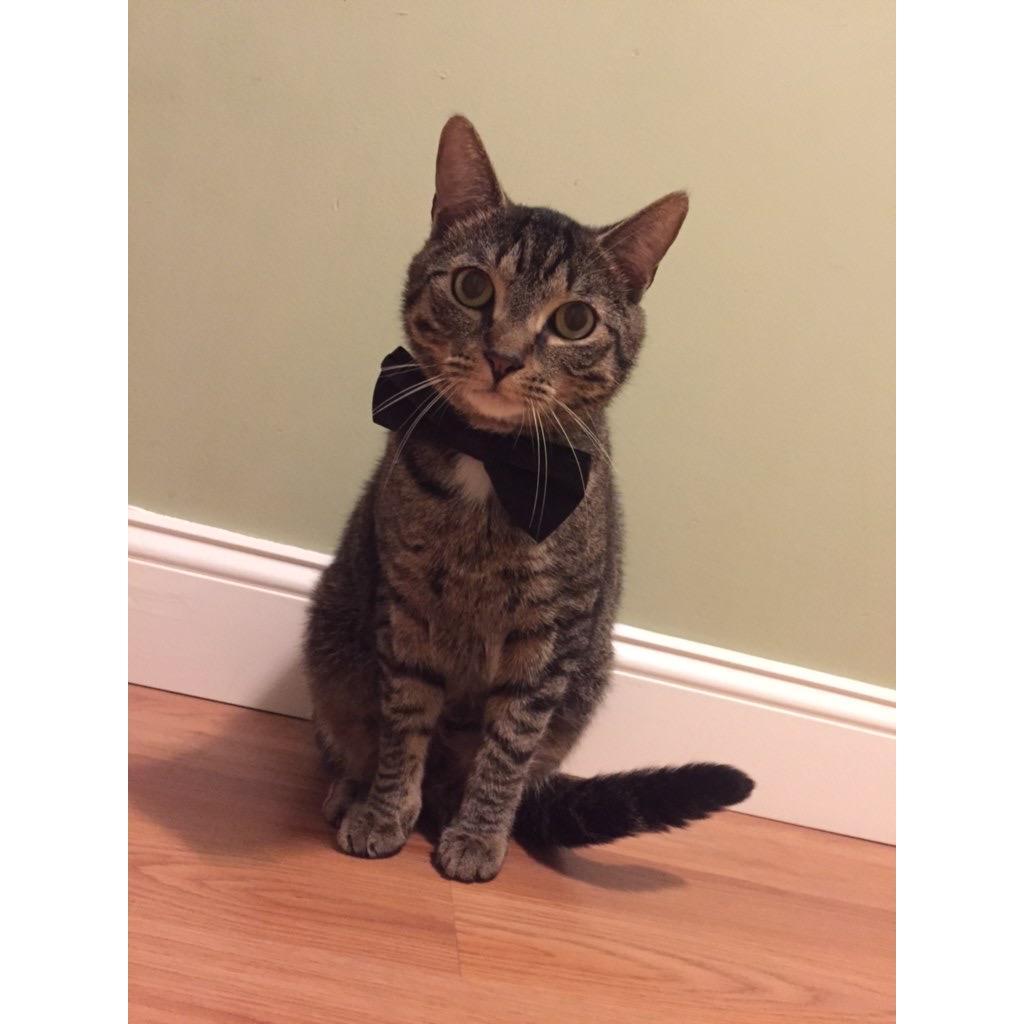 Tiggs looking his absolute cutest