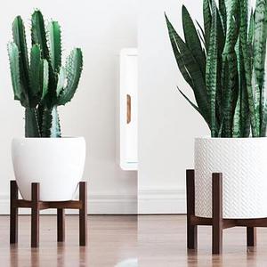 Mid Century Modern Plant Stand with Square Legs, Hand Made in Canada, Walnut Wood, Retro Home Decor