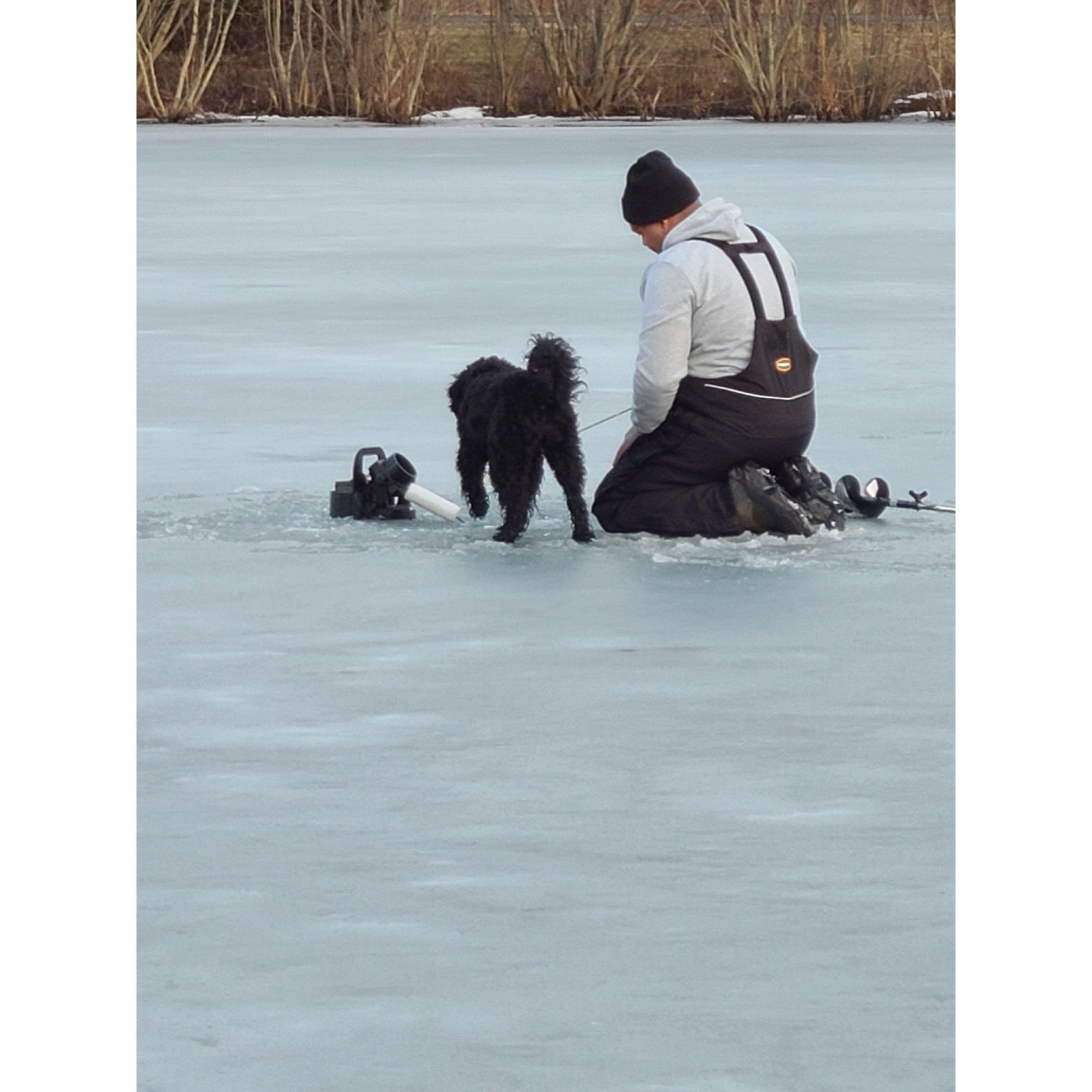 The boys looking for fish