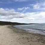 Cedar Tree Neck Sanctuary