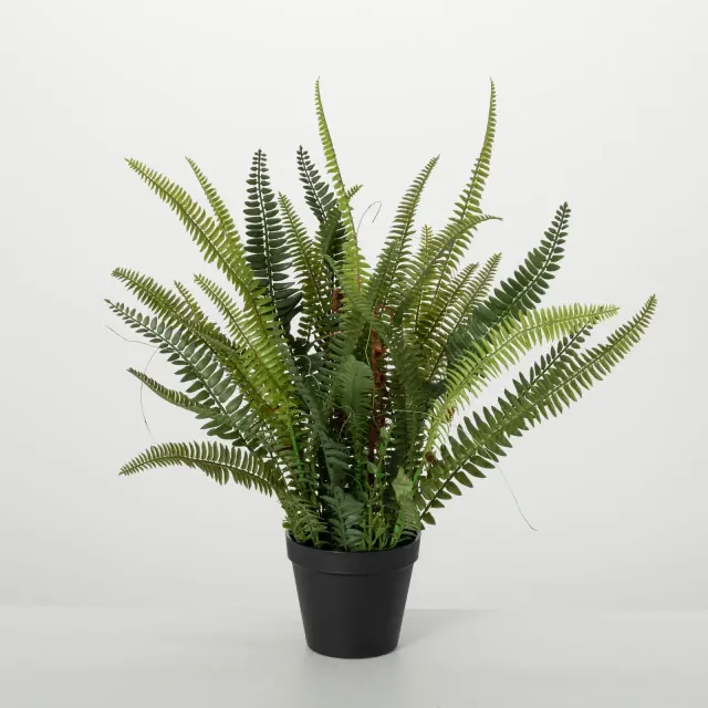 Sullivans Artificial 21" Lush Black-Potted Fern, Green