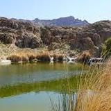 Boyce Thompson Arboretum