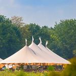 The Pickle's Family Land (Venue)
