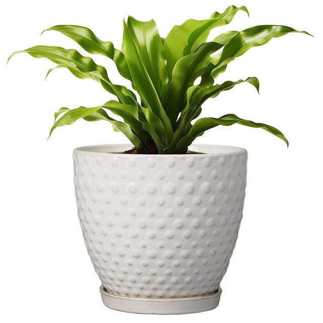 G EPGardening 8 Inch Plant Pot for Indoor Outdoor Plants Round Ceramic Planter Pot with Drainage Hole and Saucer Modern Large Flower Pot White