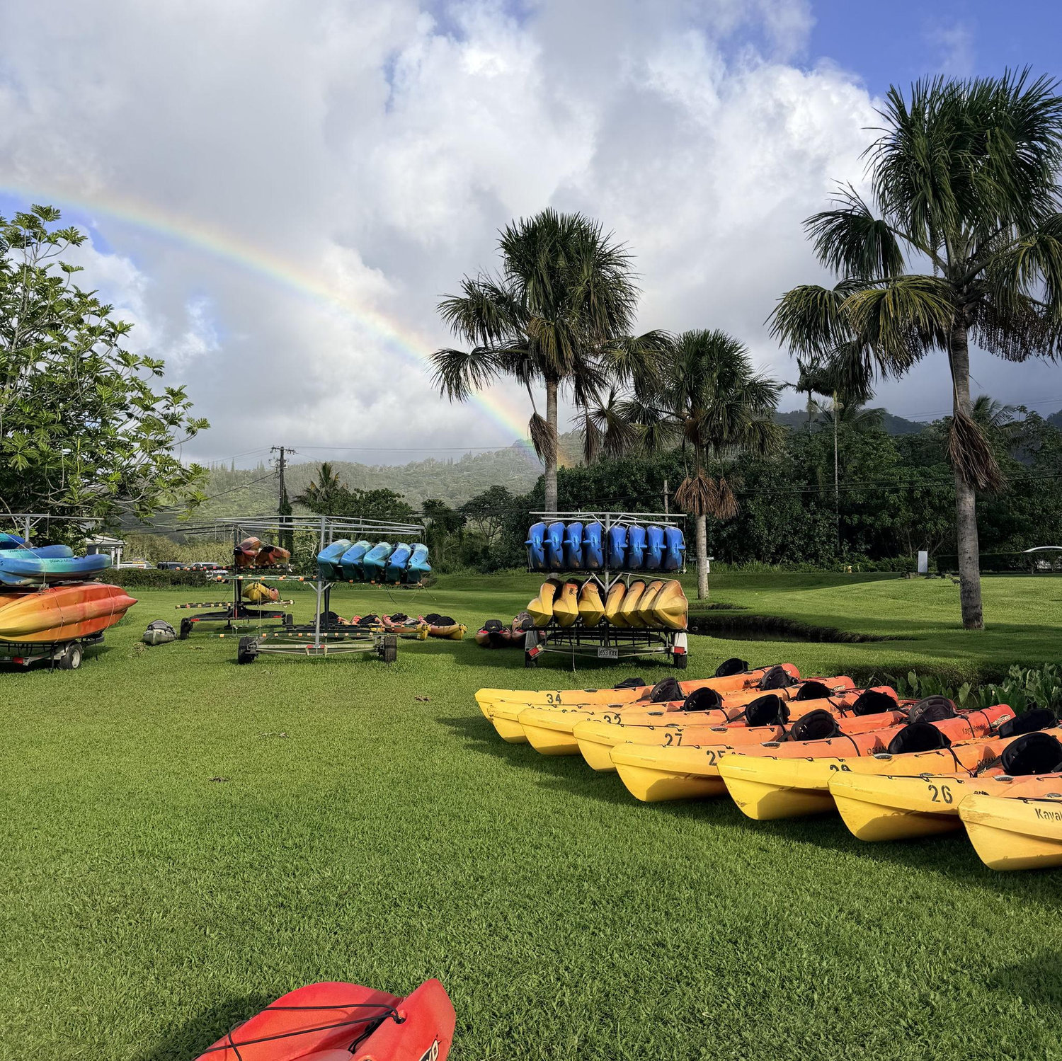 Rainbow vibe