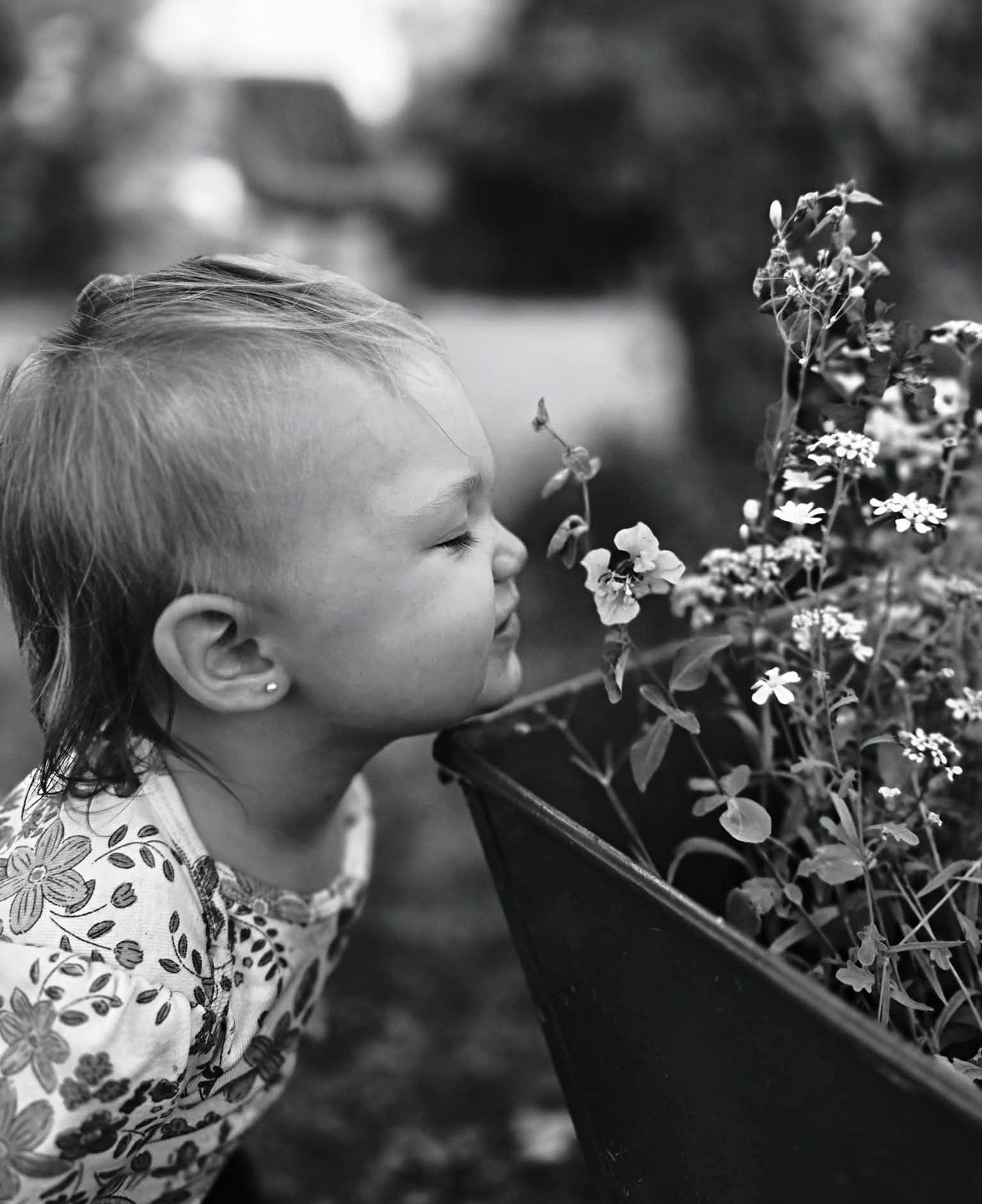 The Wedding Website of Hannah Gadouas and Andrew Lopes