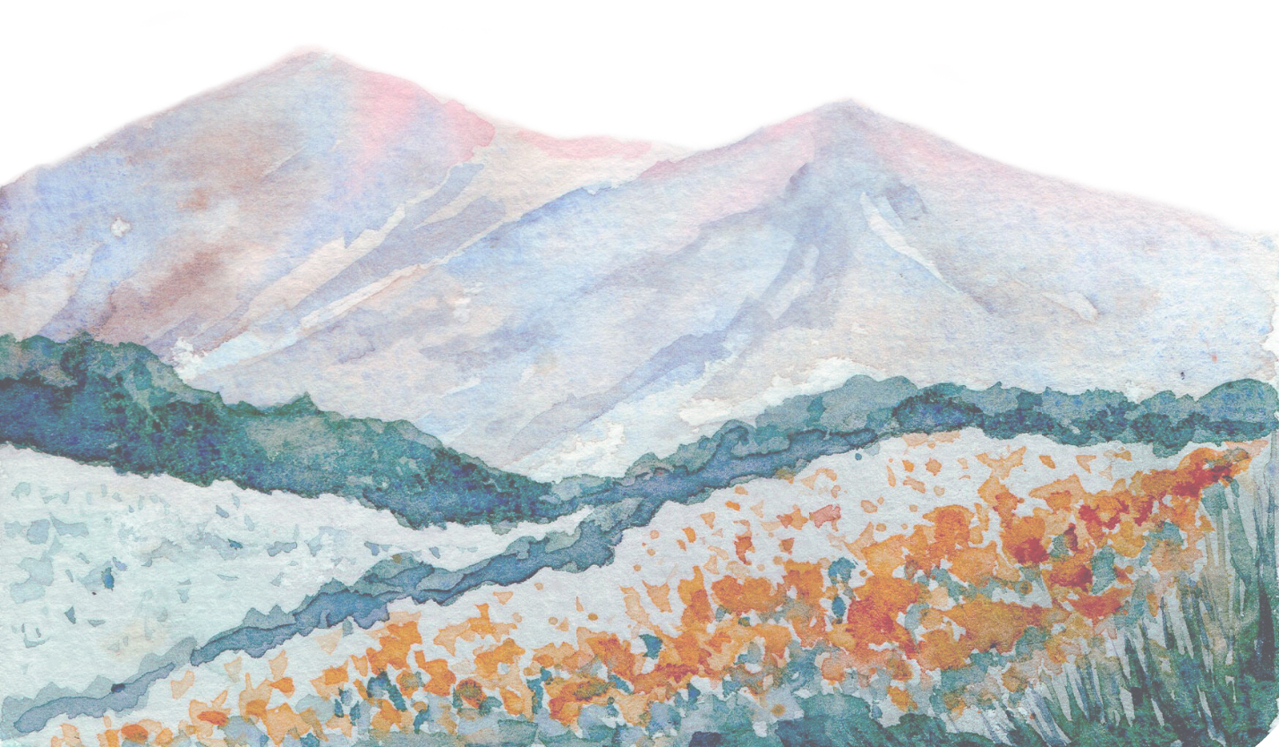 Footer image