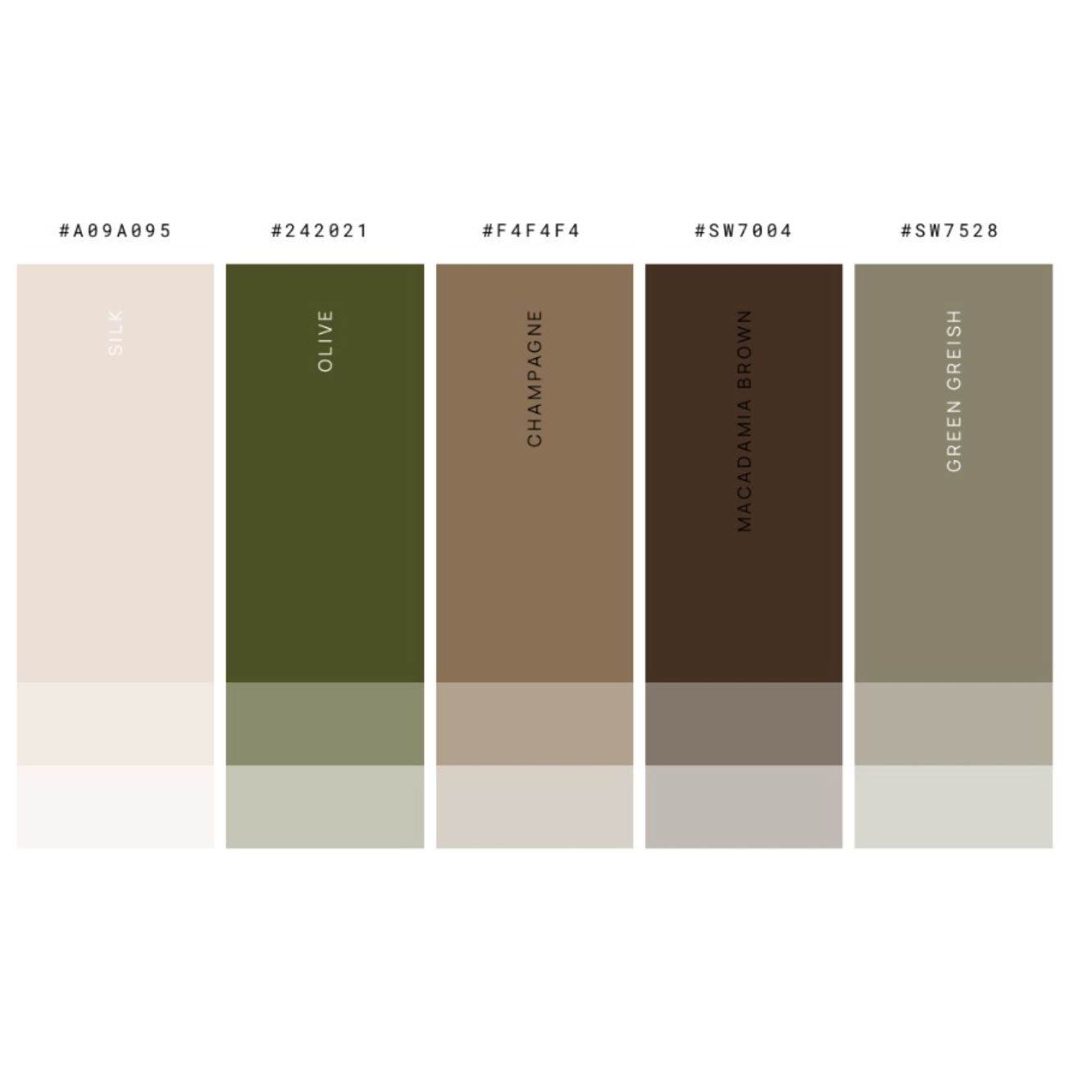 Men's Color Palette