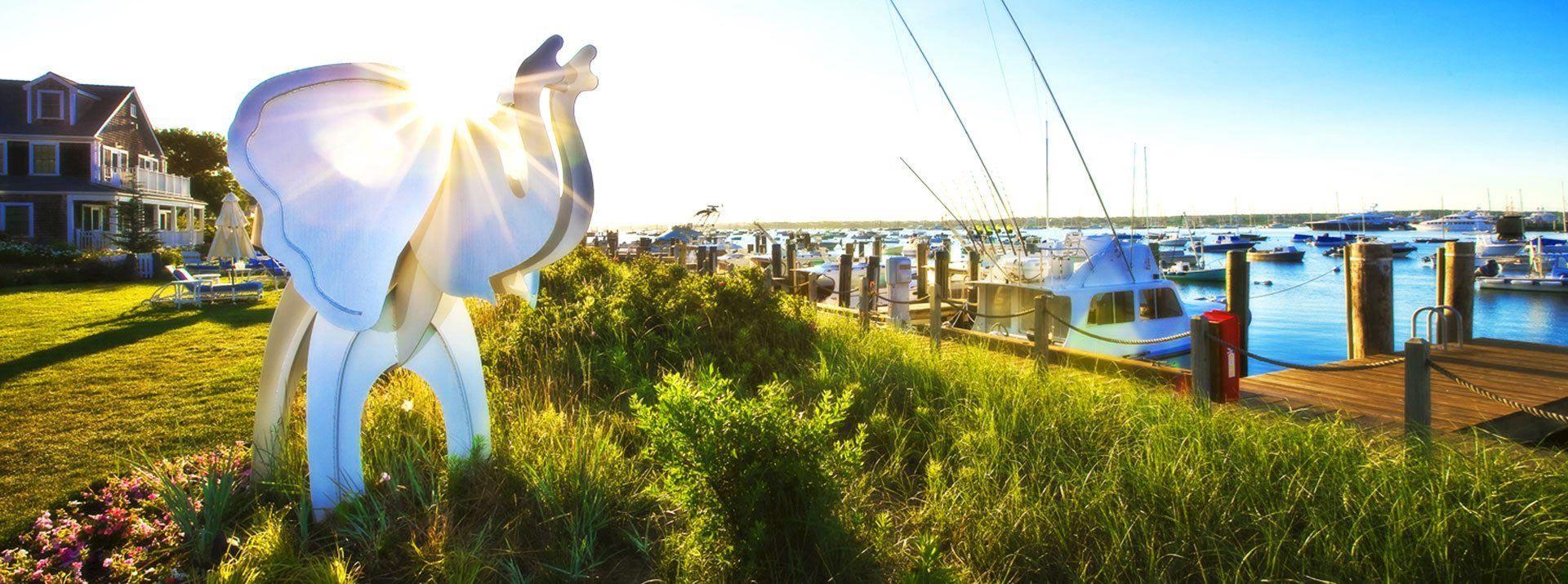 The Wedding Website of Suzanne DeTore and Andrew Faubel