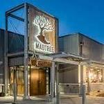 MadTree Brewing